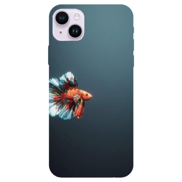 betta fish betta fish